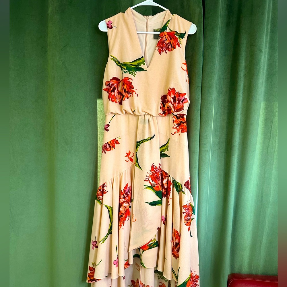 Peach/ Cream / V neck / red Flowers / size 14